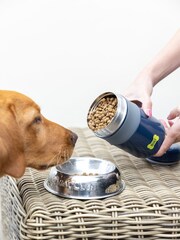 BUILT Blue Pet NightSafe™ Food Flask - Image 2 of 3