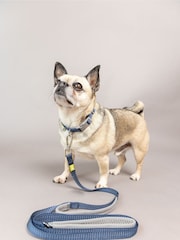 BUILT Blue Pet NightSafe™ Double Handled Small Dog Lead - Image 1 of 4