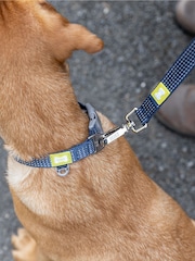 BUILT Blue Pet NightSafe™ Double Handled Medium Dog Lead - Image 1 of 4
