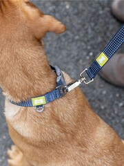 BUILT Blue Pet NightSafe™ Double Handled Medium Dog Lead - Image 2 of 4