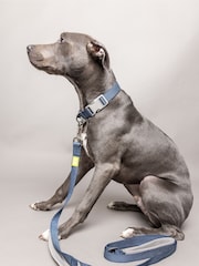 BUILT Blue Pet NightSafe™ Double Handled Large Dog Lead - Image 1 of 4