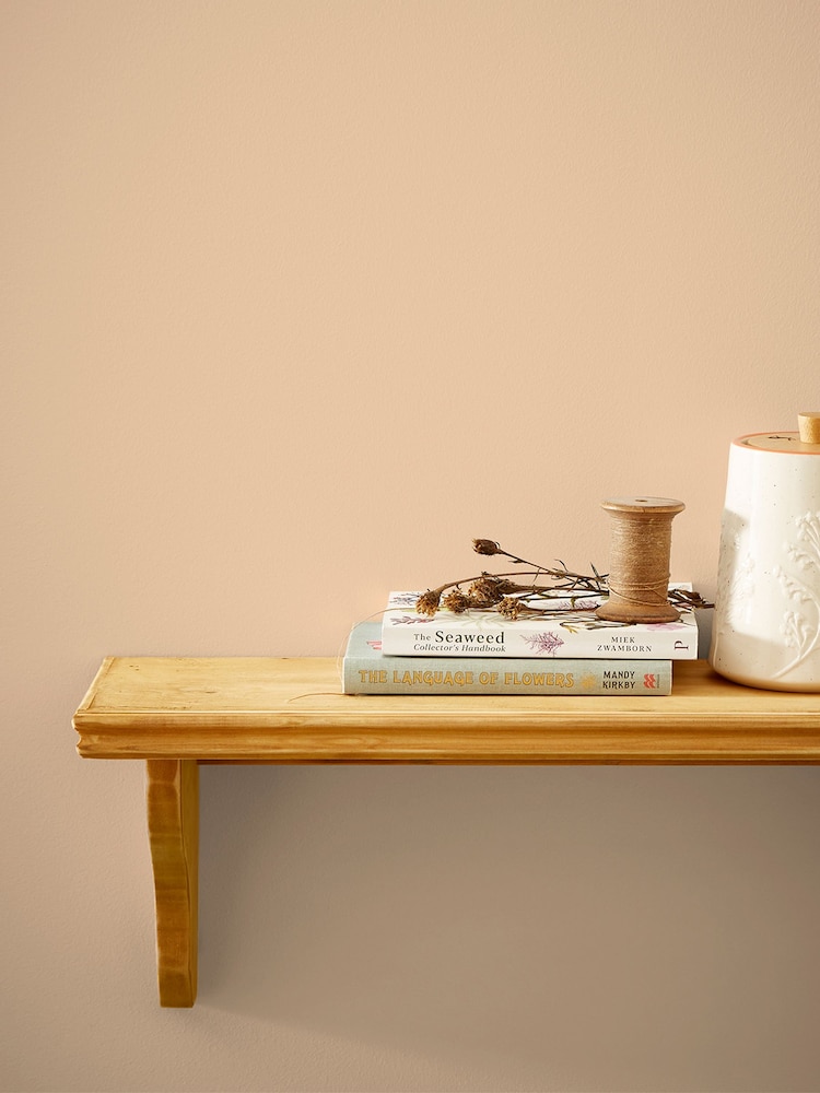 Joules Bushell Pink Multi Surface Matt Emulsion - Image 1 of 4 Joules Bushell Pink Multi Surface Matt Emulsion - Image 1 of 4
