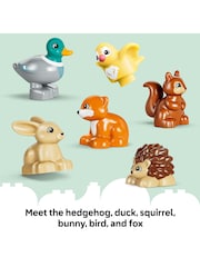 LEGO Discovery Forest with Wild Animals 10480 - Image 8 of 9