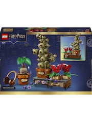 LEGO Harry Potter™ Hogwarts™ Herbology Plants Set 76474 - Image 1 of 7