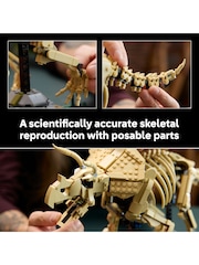 LEGO Jurassic World Dinosaur Fossils: Triceratops 77985 - Image 6 of 9