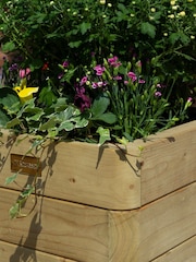Rowlinson Natural Marberry Tall Planter - Image 3 of 4