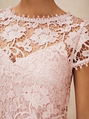 Phase Eight Pink Petite Michelle Lace Pleat Maxi Dress - Image 7 of 8