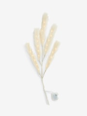 Natural Pampas Grass Lit Stem Battery Operated Feature Light - Image 6 of 7