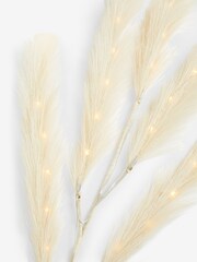 Natural Pampas Grass Lit Stem Battery Operated Feature Light - Image 7 of 7