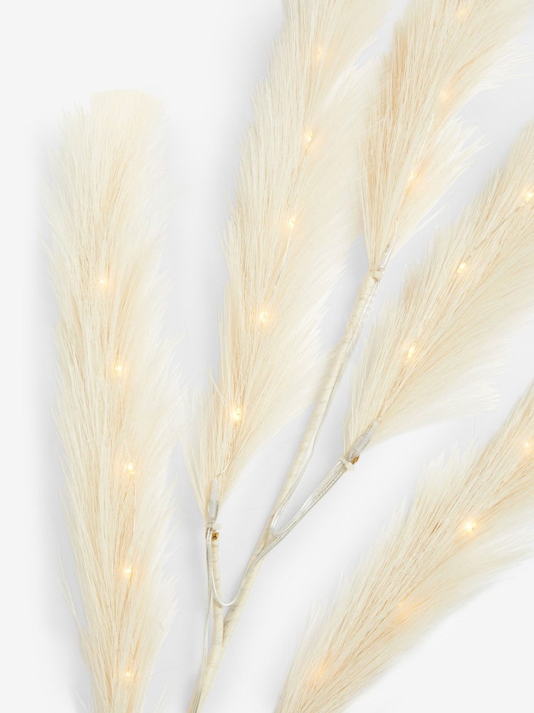 Natural Pampas Grass Lit Stem Battery Operated Feature Light - Image 7 of 7