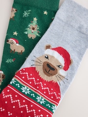 Green/ Grey Capybara Christmas Socks 2 Pack - Image 4 of 5