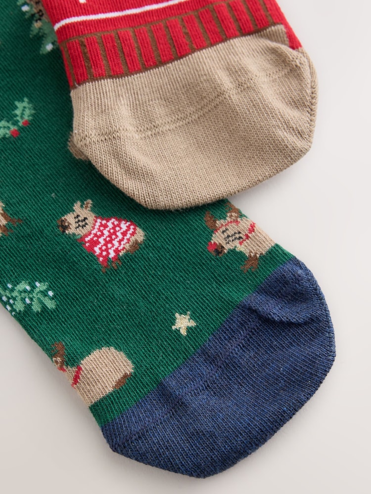 Green/ Grey Capybara Christmas Socks 2 Pack - Image 5 of 5 Green/ Grey Capybara Christmas Socks 2 Pack - Image 5 of 5