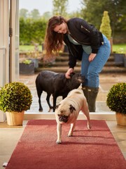 Hug Rug Orange Original Plains Mat - Image 1 of 4