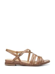 Hotter Brown Wide Fit Sienna Buckle Sandals - Image 1 of 4