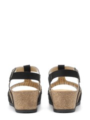 Hotter Melissa Buckle Regular Fit Sandals - Image 4 of 4