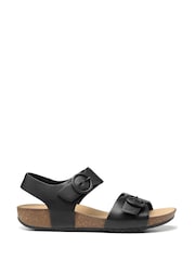 Hotter Black Extra Wide Fit Tourist Buckle Sandals - Image 1 of 4