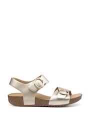 Hotter Gold Regular Fit Tourist Buckle Sandals - Image 1 of 4