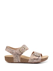 Hotter Pink Regular Fit Tourist Buckle Sandals - Image 1 of 4