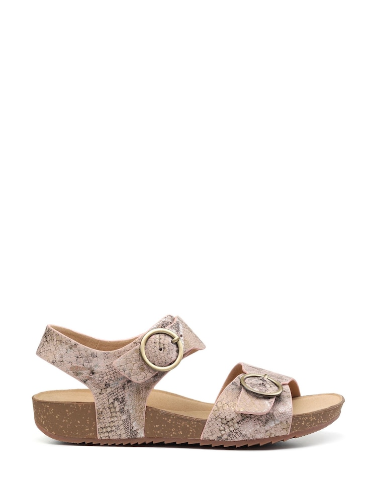 Hotter Pink Regular Fit Tourist Buckle Sandals - Image 1 of 4