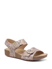 Hotter Pink Regular Fit Tourist Buckle Sandals - Image 2 of 4