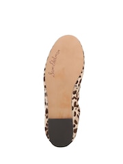 Sam Edelman Animal Felicia Regular Fit Ballet Flats - Image 7 of 7
