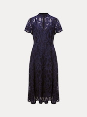Phase Eight Blue Lulu Lace Dress - Image 6 of 6
