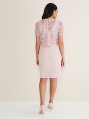 Phase Eight Pink Petite Isabella Lace Dress - Image 2 of 8