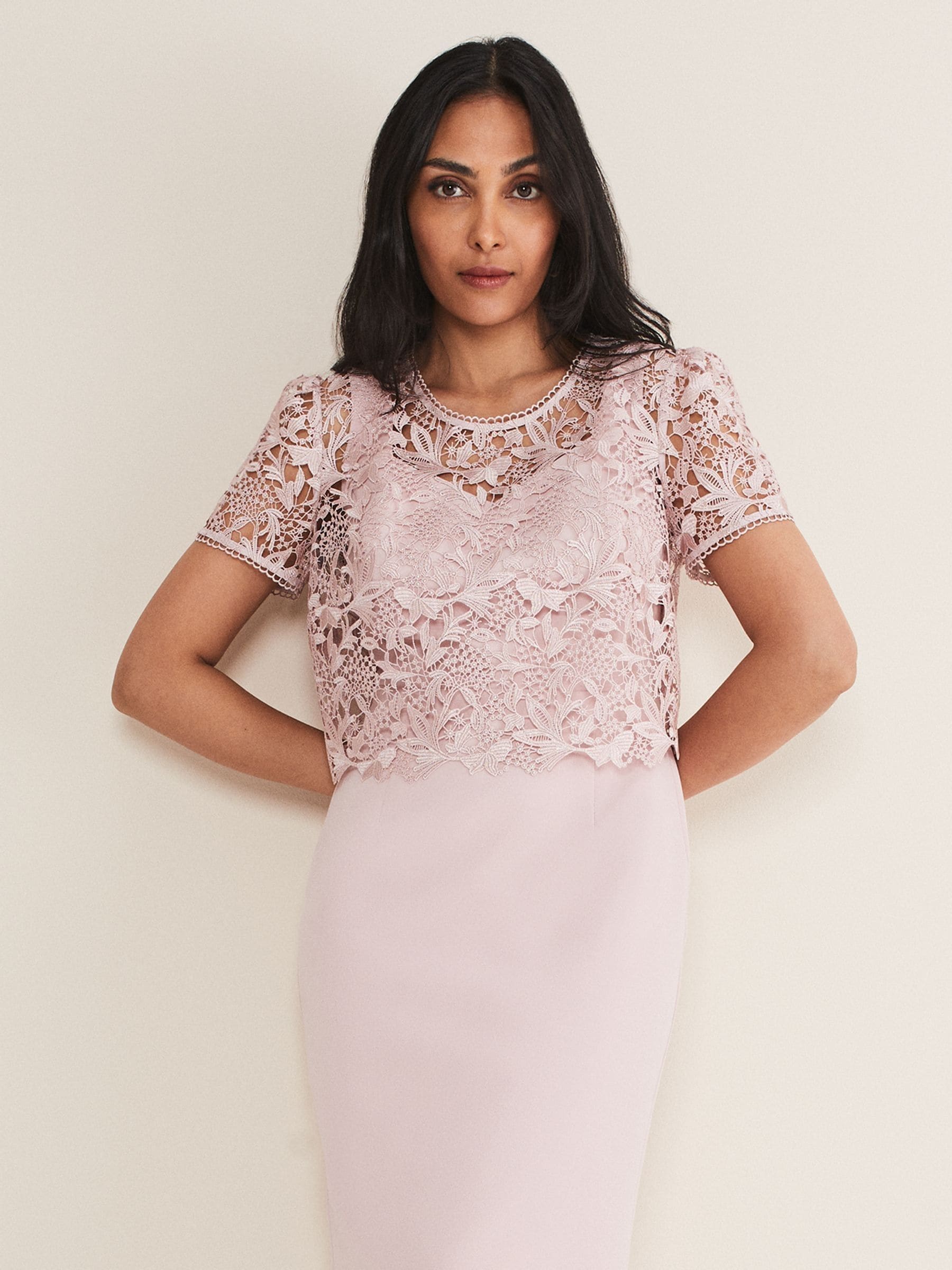 Buy Phase Eight Pink Petite Isabella Lace Dress from Next Germany