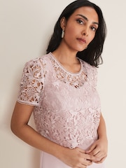 Phase Eight Pink Petite Isabella Lace Dress - Image 5 of 8
