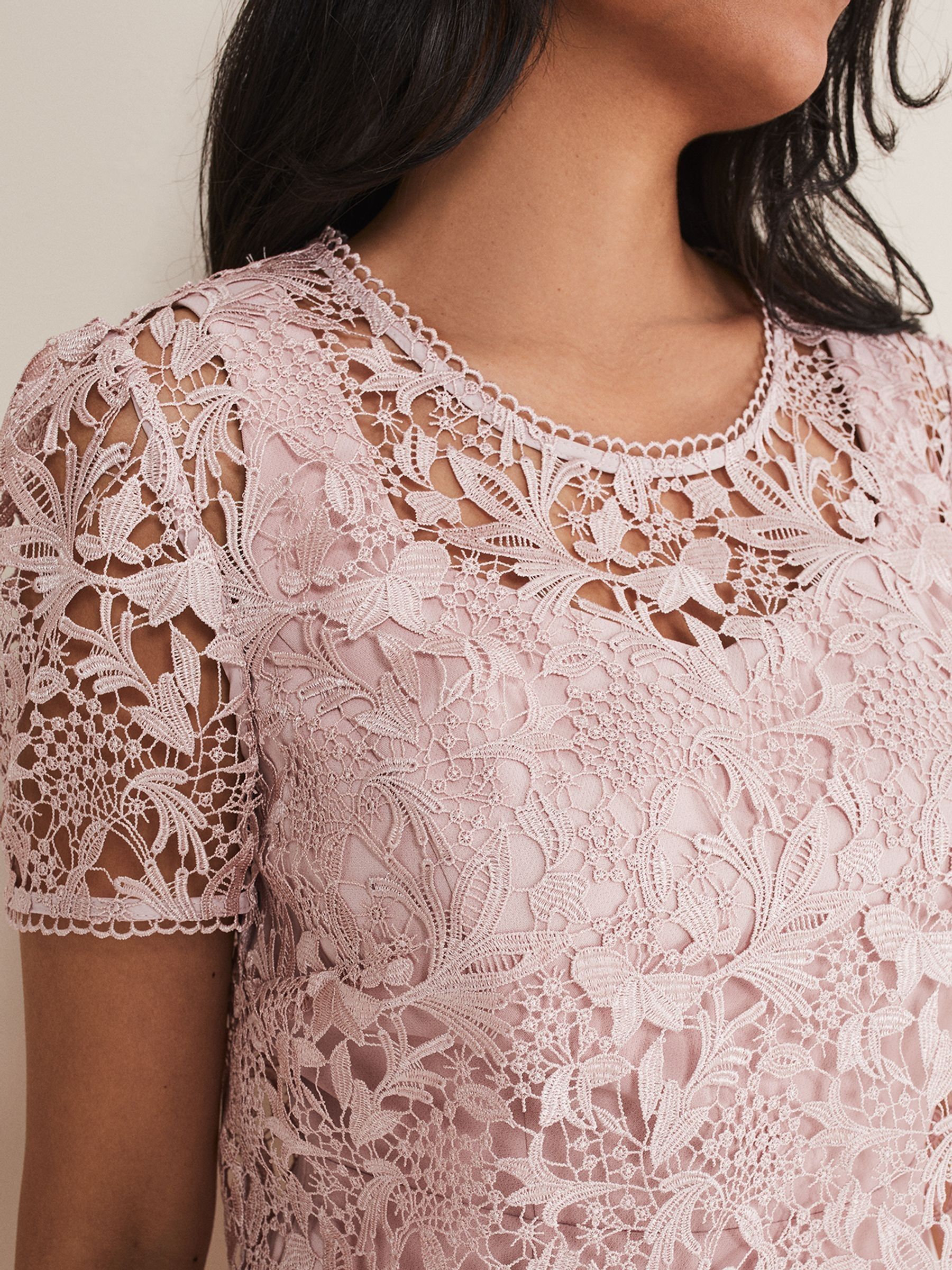Buy Phase Eight Pink Petite Isabella Lace Dress from the