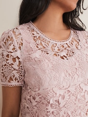 Phase Eight Pink Petite Isabella Lace Dress - Image 7 of 8