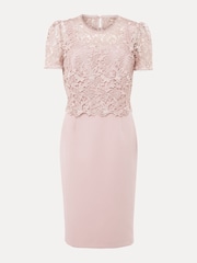 Phase Eight Pink Petite Isabella Lace Dress - Image 8 of 8