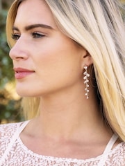 Ivory & Co Gold Plated Willow Trailing Vine Earrings - Image 3 of 4