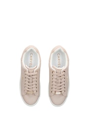 Carvela Dream 2 Trainers - Image 5 of 5