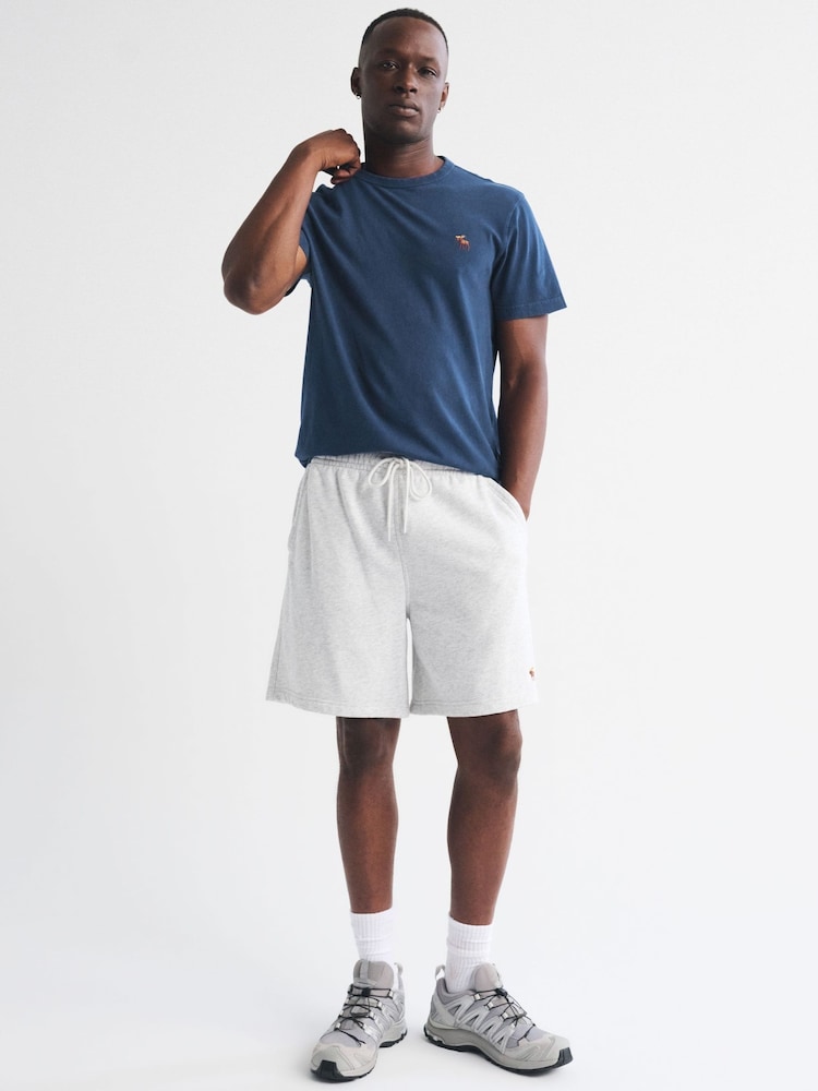 Abercrombie & Fitch Blue Washed Icon T-Shirt - Image 1 of 6