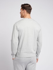 U.S. Polo Assn. Grey Classic Fit Mens Double Horsemen Sweatshirt - Image 4 of 8