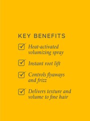 Philip Kingsley Maximizer Root Boosting Spray 250ml - Image 4 of 5