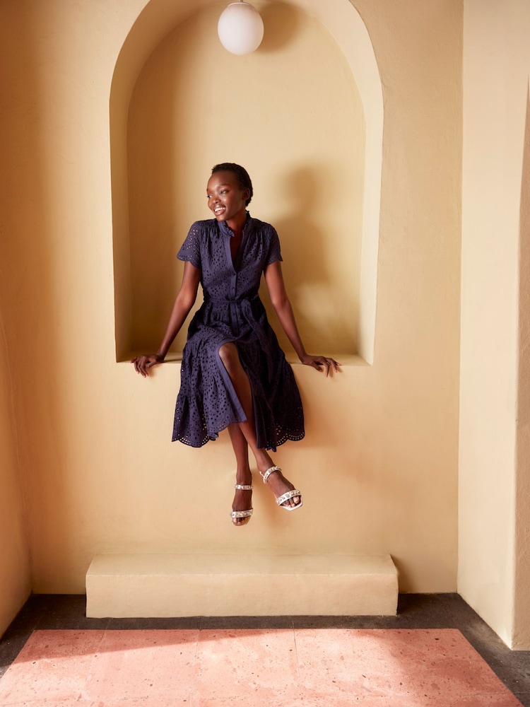 Hobbs Blue Rhianne Dress - Image 1 of 5