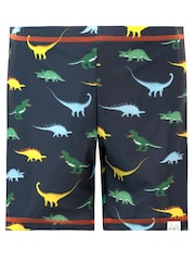 Harry Bear Blue Dinosaur Print Striped Swim Set - Image 4 of 5
