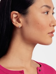 Ted Baker Silver SINAA: Crystal Stud Earrings - Image 4 of 4