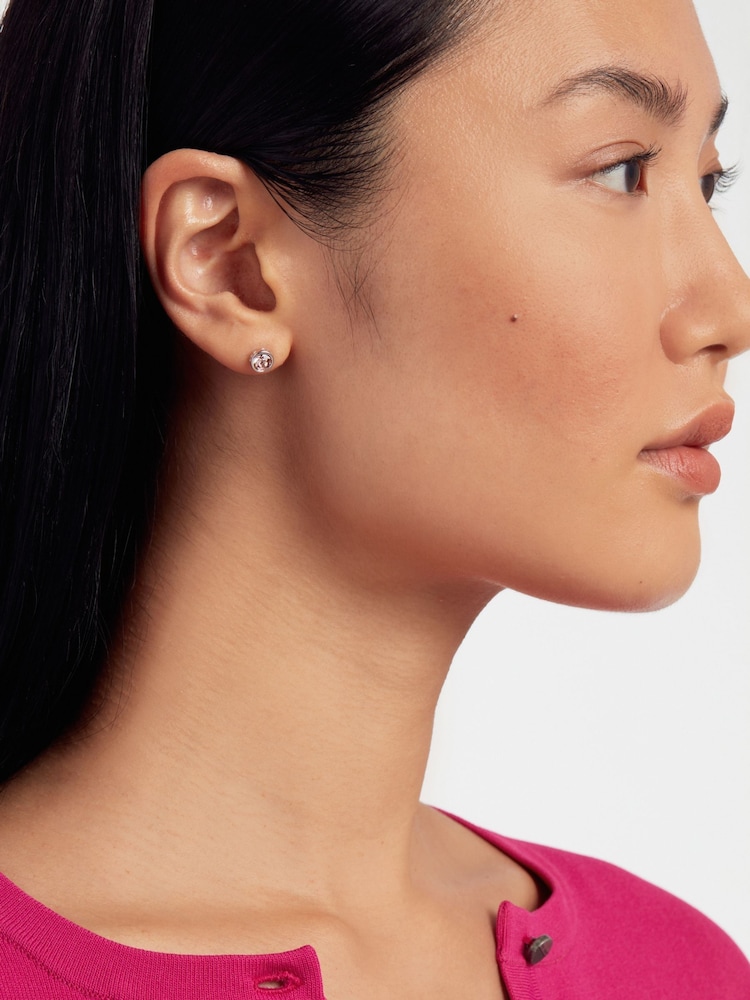 Ted Baker Silver SINAA: Crystal Stud Earrings - Image 4 of 4
