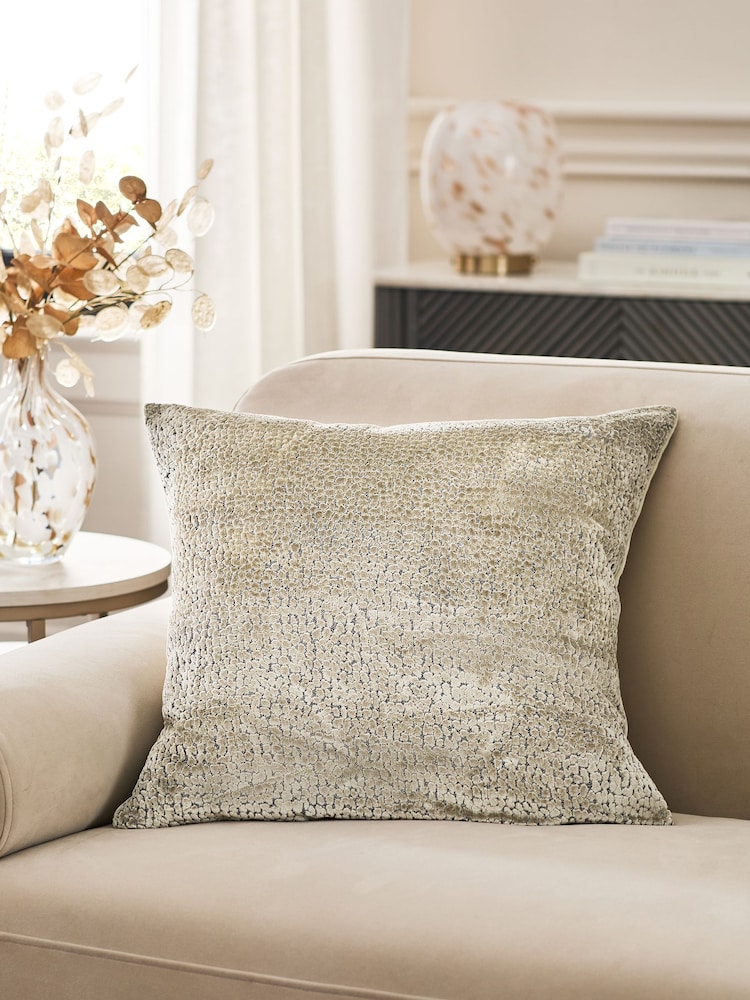 50 x 50cm Ditsy Textured Velvet Cushion - صورة 1 من 5 50 x 50cm Ditsy Textured Velvet Cushion - صورة 1 من 5
