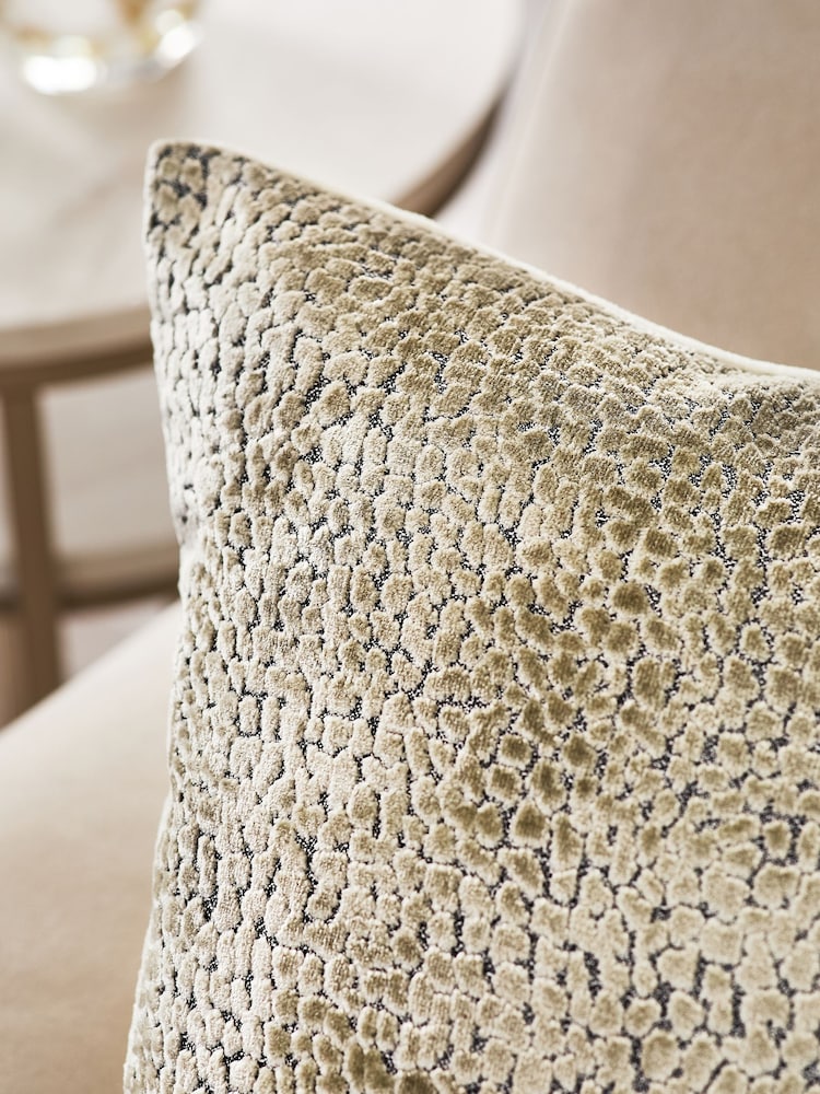 50 x 50cm Ditsy Textured Velvet Cushion - صورة 2 من 5 50 x 50cm Ditsy Textured Velvet Cushion - صورة 2 من 5