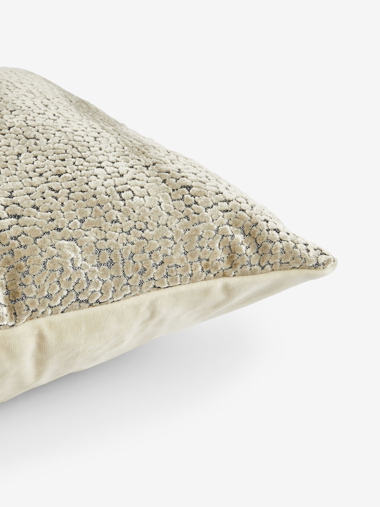 50 x 50cm Ditsy Textured Velvet Cushion - صورة 5 من 5 50 x 50cm Ditsy Textured Velvet Cushion - صورة 5 من 5