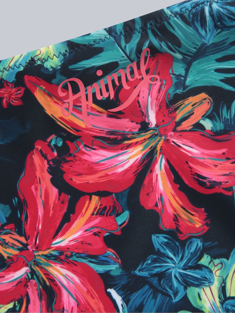 Animal Red Womens Docks Printed Bikini Bottoms - Image 8 of 8