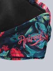 Animal Red Docks Printed Tie Front Womens Bikini Top - Image 8 of 9