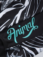 Animal Black Strappy Zora Womens Swimsuit - Image 4 of 5
