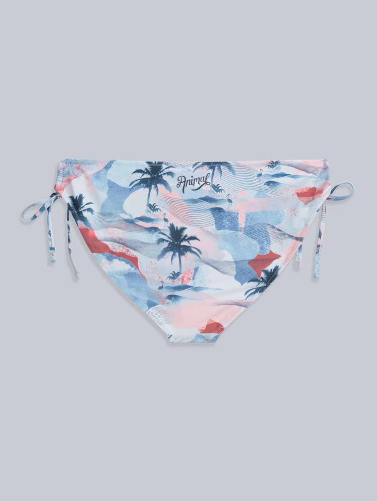 Animal Blue Iona Tie Side Printed Bikini Bottoms - Image 2 of 5 Animal Blue Iona Tie Side Printed Bikini Bottoms - Image 2 of 5