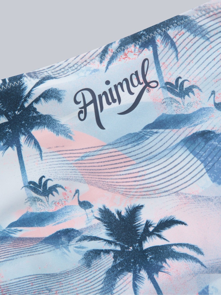 Animal Blue Iona Tie Side Printed Bikini Bottoms - Image 4 of 5