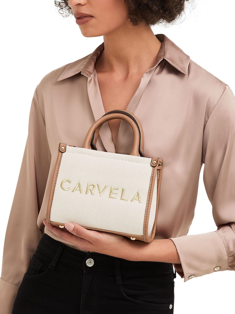 Carvela Pink Sorrento Micro Stripe 100% Cotton Bag - Image 5 of 5